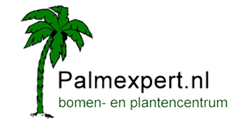 Palmexpert.jpg